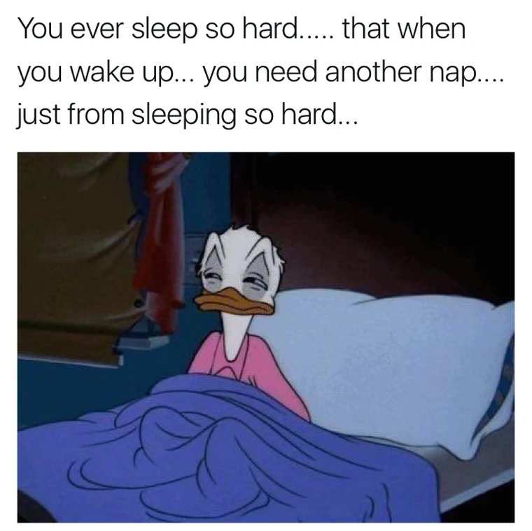 25 Sleep Memes for the Not-So-Morning People 25 You ever sleep so hard