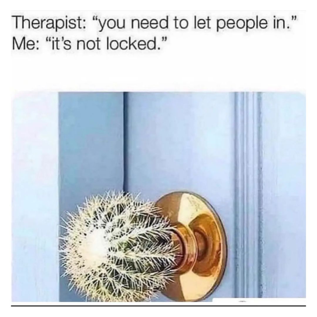 25 Funny Introvert Memes for Those Who'd Rather Be Alone 17 You need to let people in - Funny Introvert Memes