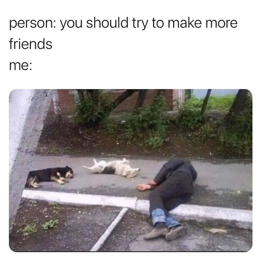 25 Funny Introvert Memes for Those Who'd Rather Be Alone 19 You should try to make more friends - Funny Introvert Memes