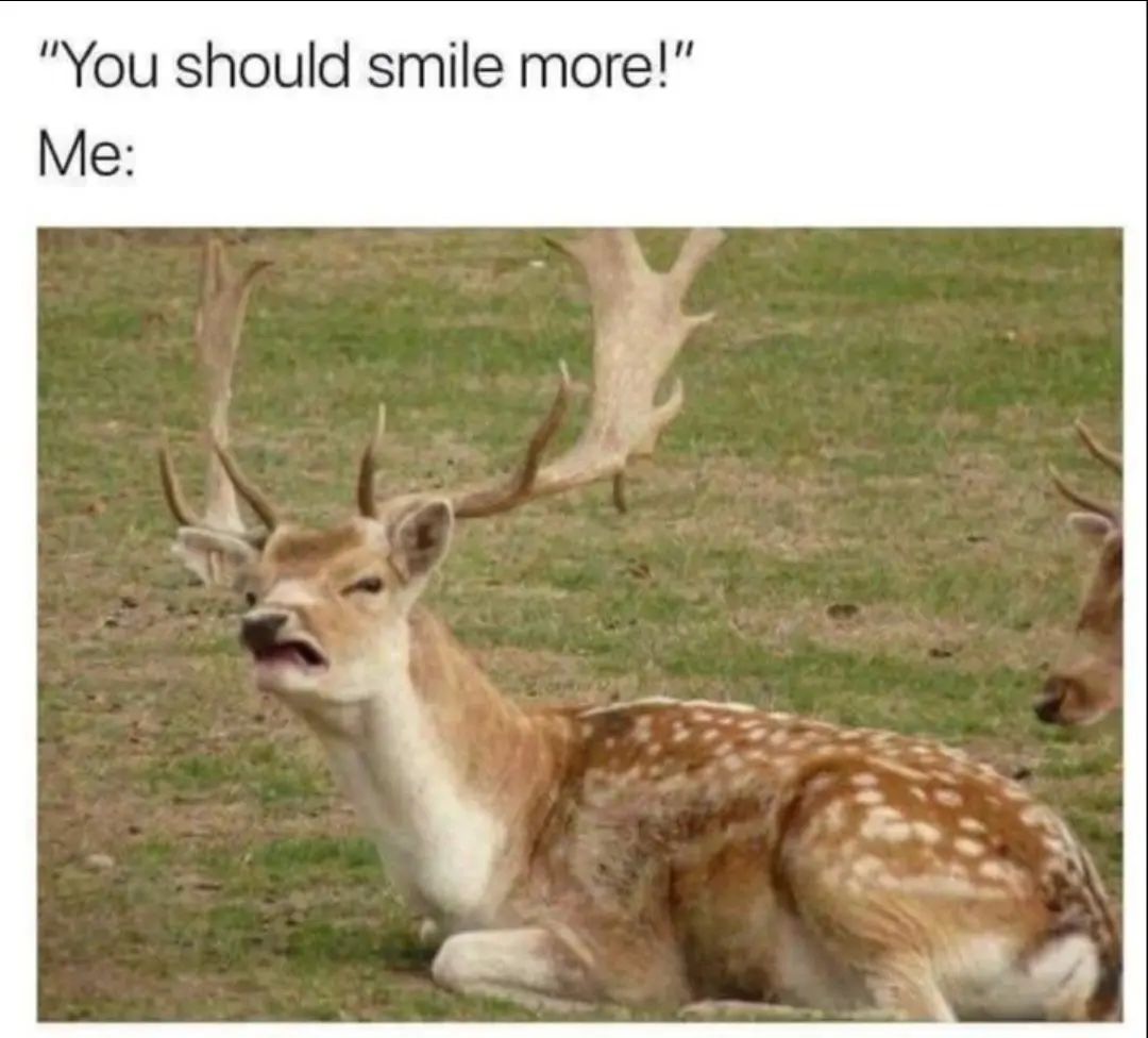 25 Funny Introvert Memes for Those Who'd Rather Be Alone 20 You shpould smile more - Funny Introvert Memes