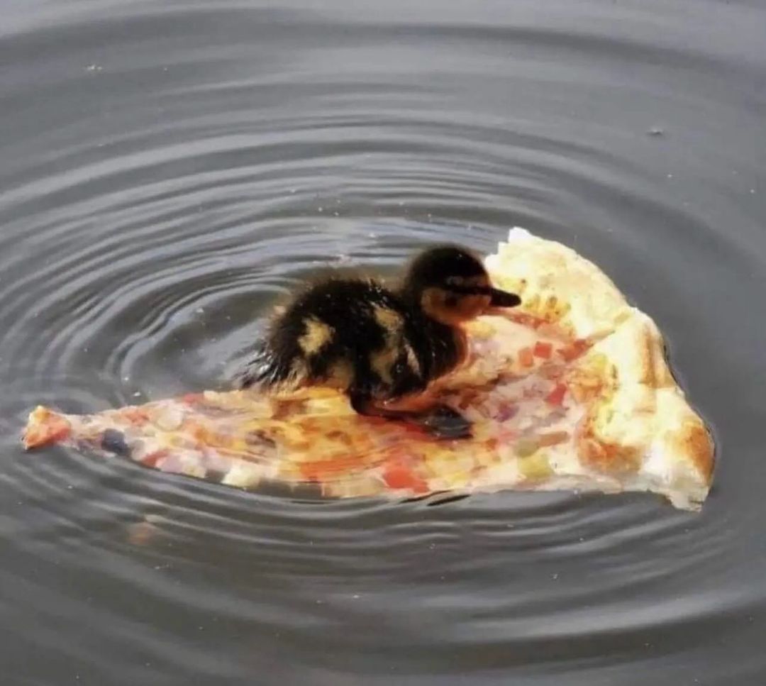 20 Hair-Raising Cursed Images Found on This Instagram Account 4 chick on pizza