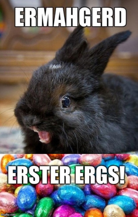 20 Ermahgerd Memes: Where Laughter Meets Misspelling 18 ester eggs
