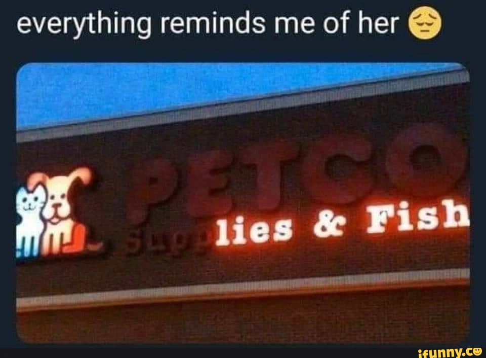 26 Neon Sign Fails That Light Up the Night for All the Wrong Reasons 15 lies and fish - Neon Sign Fails
