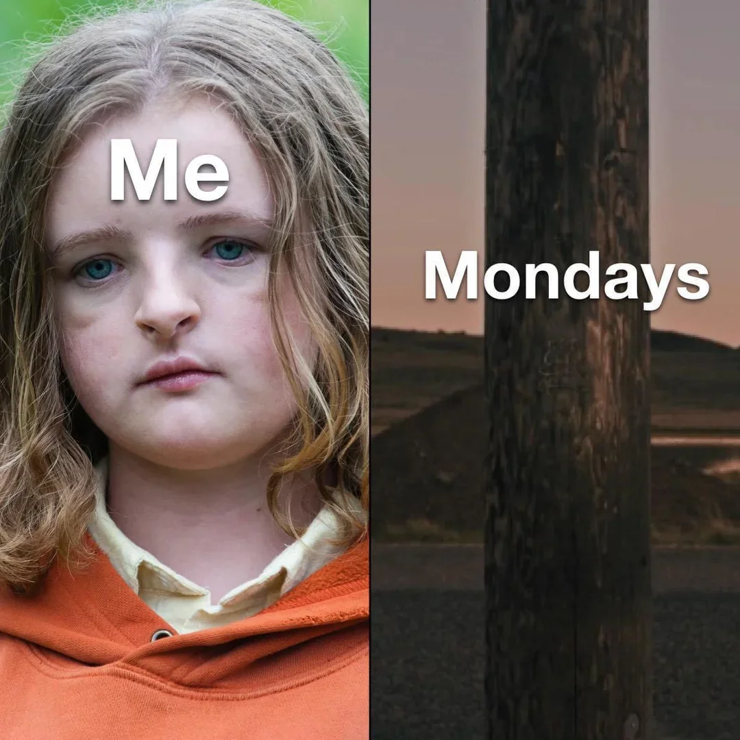 20 Monday Humor Memes for Hardcore Monday Haters 18 me vs monday