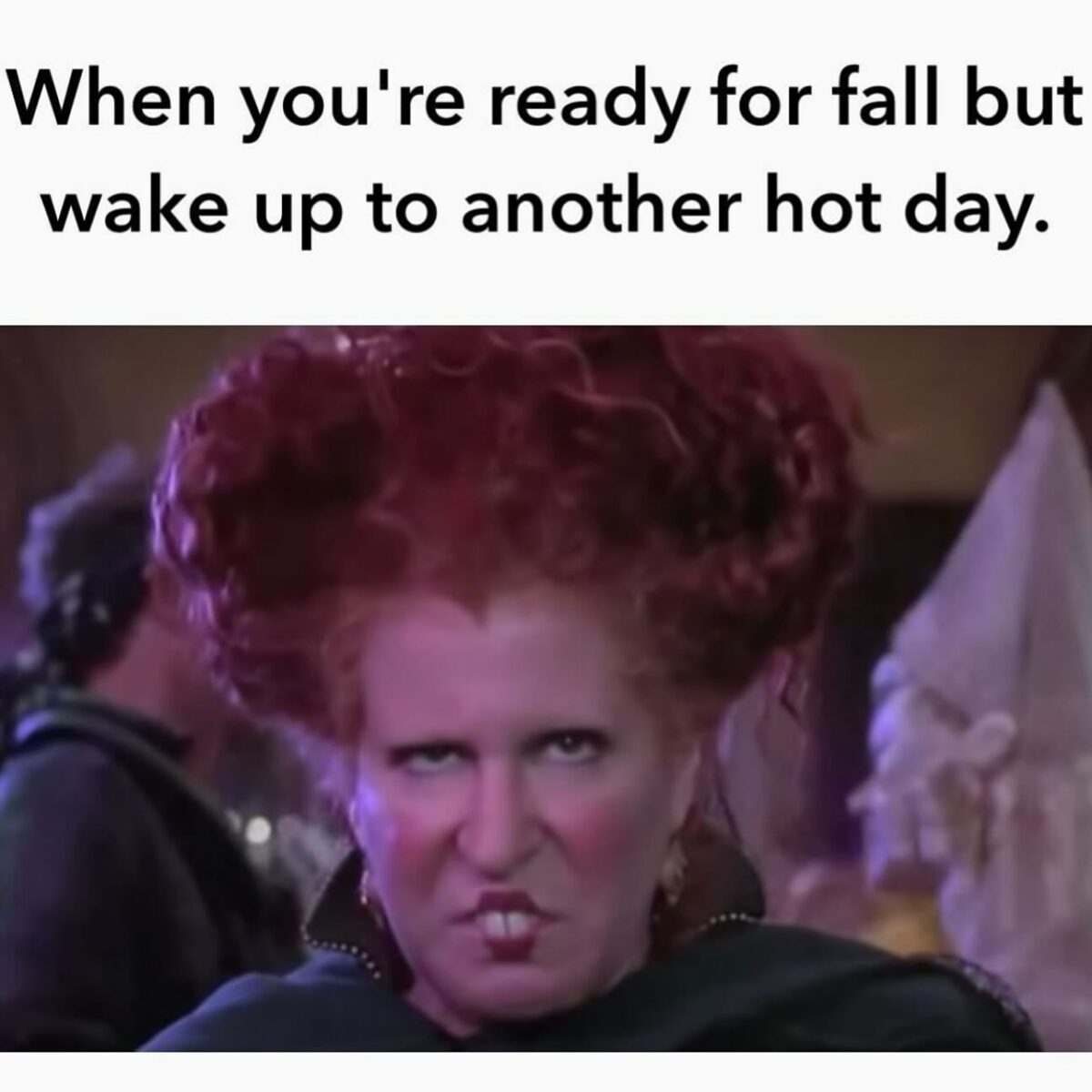 20 Hocus Pocus Memes That Will Put a Spell on You 20 going to stop
