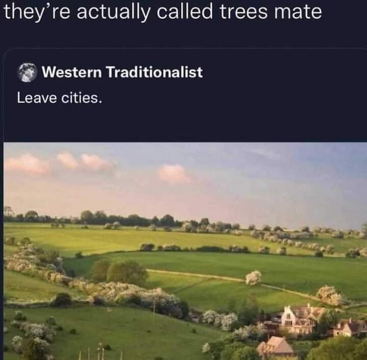 24 Silly Memes That Will Make You Wonder What's So Funny 24 They are called trees