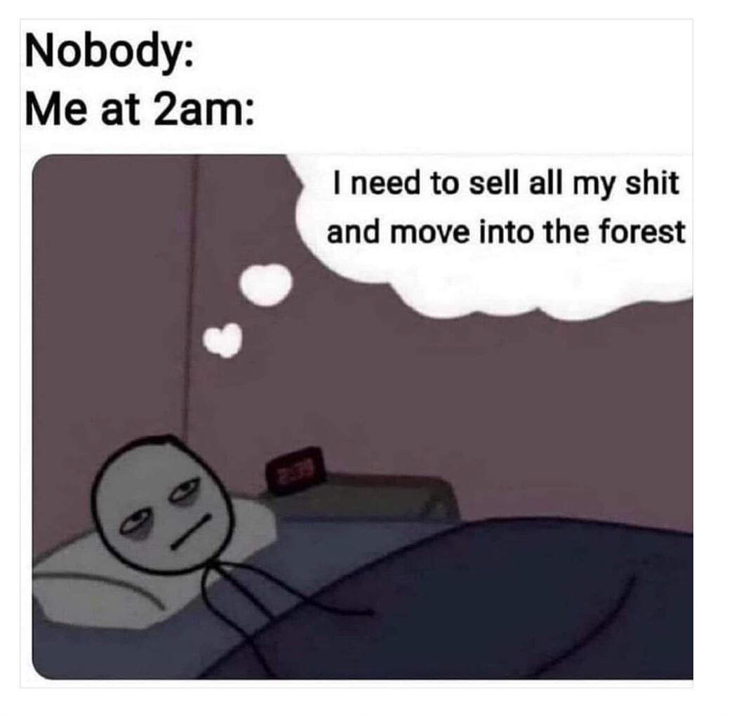 19 Memes That Sum Up Your Struggles 18 me at 2am
