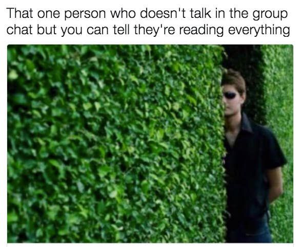 25 Jovial Group Chat Memes for a Burst of Positivity and Chat Cheers 1 group chat memes that one