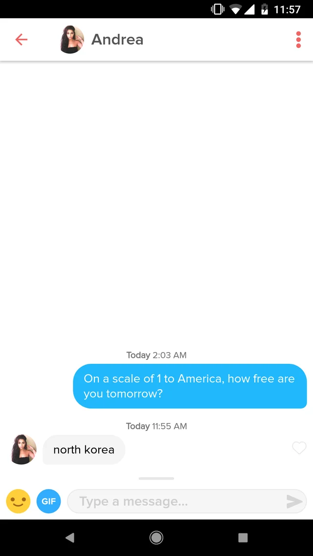 20 Funny Tinder Chats: Swipe Right for a Dose of Hilarity 1 1 to america - Tinder Chats