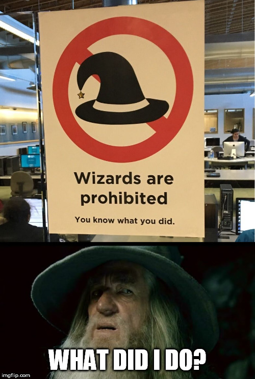 Wizard Memes That Will Cast A Spell On Your Funny Bone