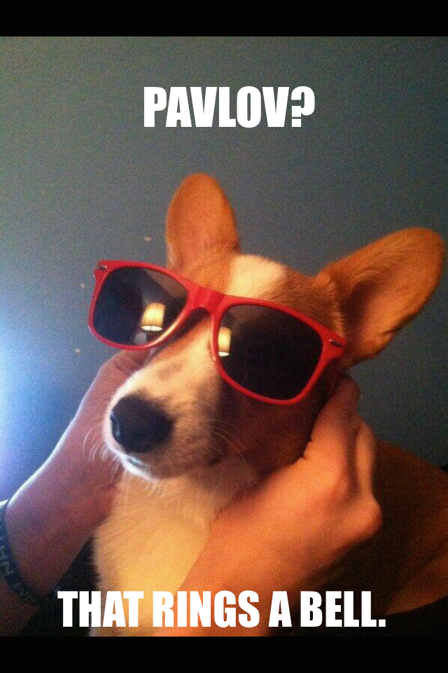 psychology memes pavlov