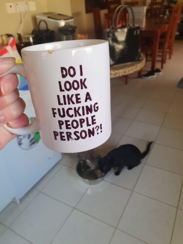 Laugh-a-Latte: 20 Funny Coffee Mug Memes That Perk Up Your Day 13 funny coffee mug memes do i look
