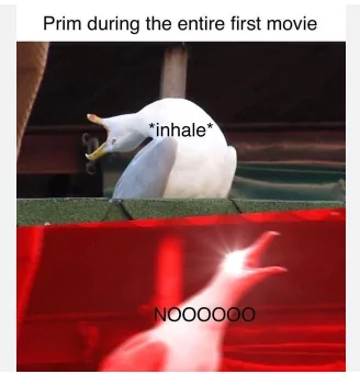 20 Hunger Games Memes Bringing Joy to the Arena and Blissful Banters 13 hunger games memes the bird looks