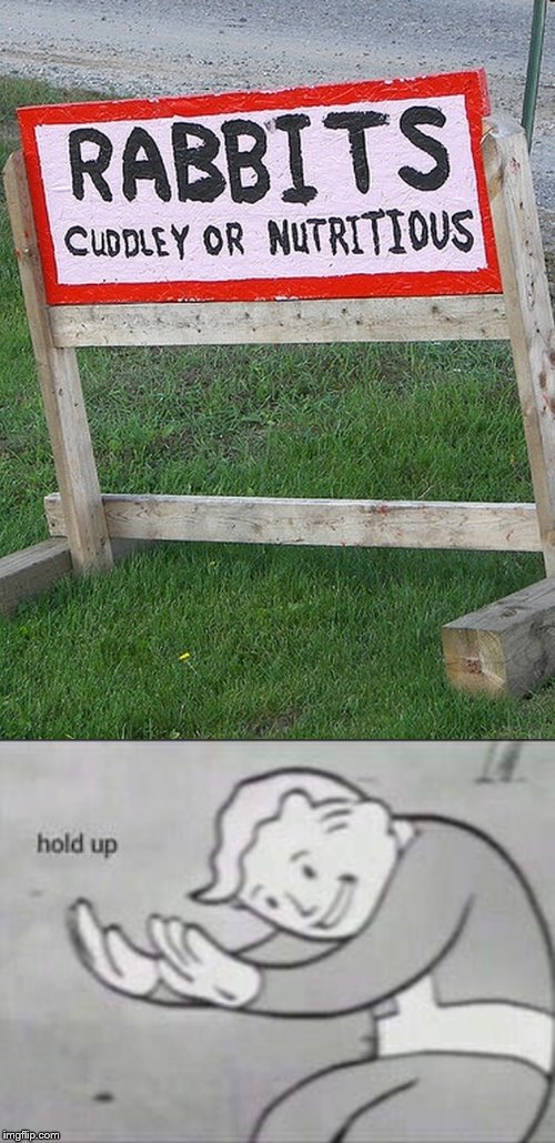 cuddle memes hold up