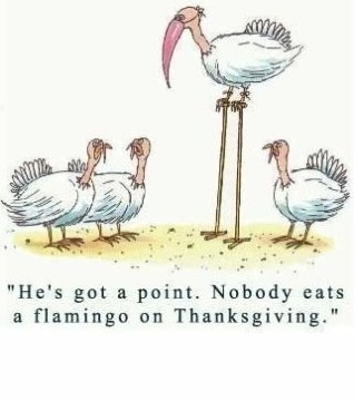 happy turkey day memes hes got point