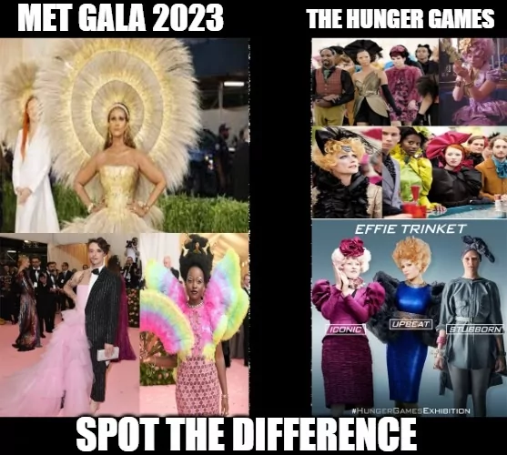 20 Hunger Games Memes Bringing Joy to the Arena and Blissful Banters 16 hunger games memes spot the difference