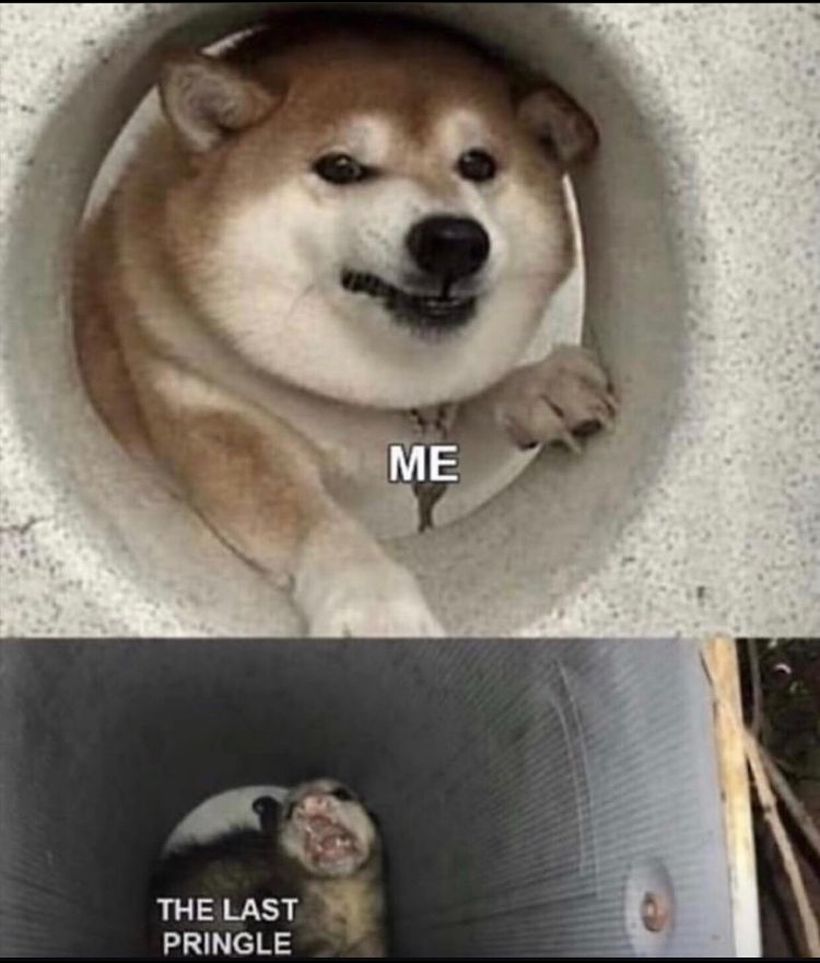 20 Possum Memes That are Possum-ively Hilarious 18 possum memes last pringle