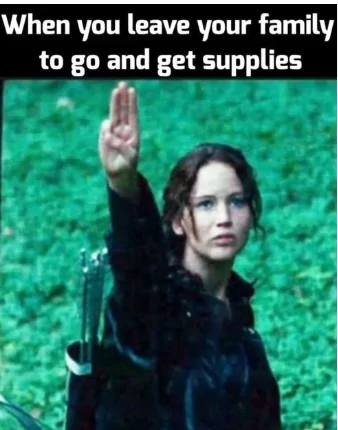 20 Hunger Games Memes Bringing Joy to the Arena and Blissful Banters 17 16 3