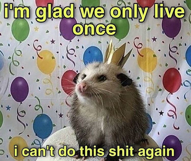 20 Possum Memes That are Possum-ively Hilarious 22 possum memes i am glad