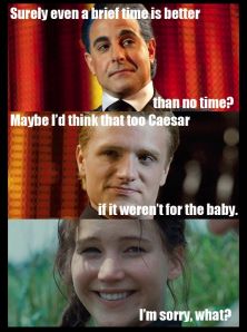 20 Hunger Games Memes Bringing Joy to the Arena and Blissful Banters 2 hunger games memes i am sorry