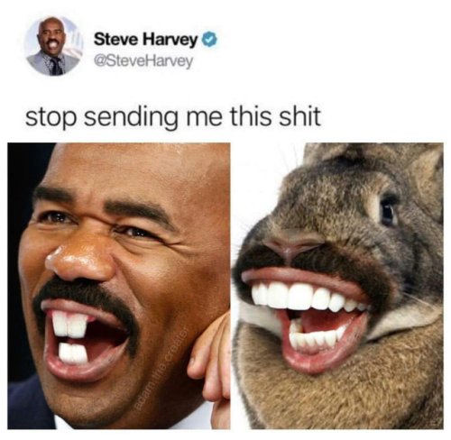 steve harvey memes stop sending