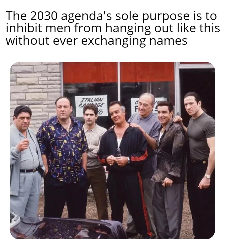 25 Sopranos Memes That'll Have You Applauding! 24 2030 agenda