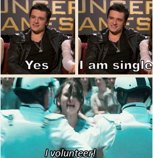 20 Hunger Games Memes Bringing Joy to the Arena and Blissful Banters 3 hunger games memes yes i am single