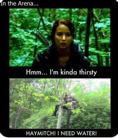 20 Hunger Games Memes Bringing Joy to the Arena and Blissful Banters 5 hunger games memes i am kinda thirsty