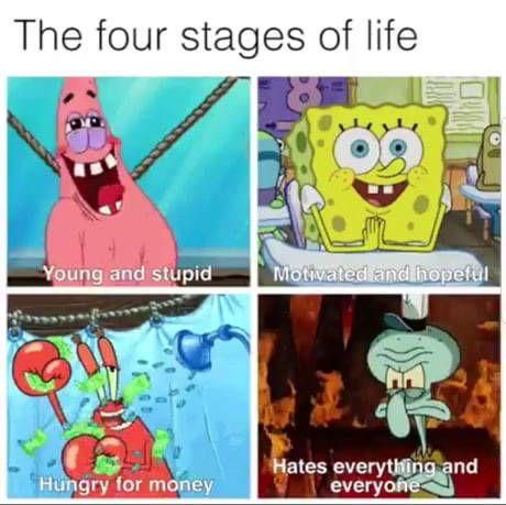 spongebob reaction memes young and stupid