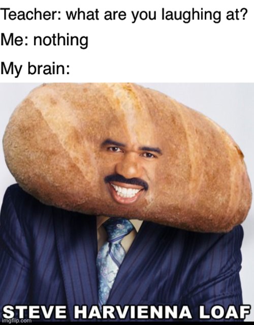 steve harvey memes a loaf