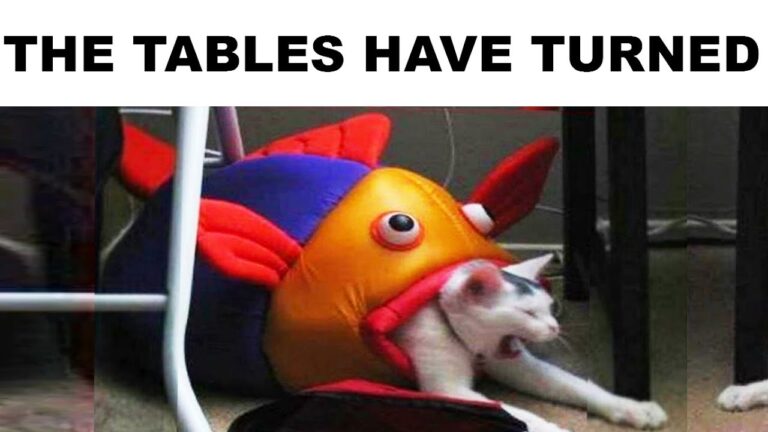 20 Low Quality Memes That Will Make You Question Your Internet Connection