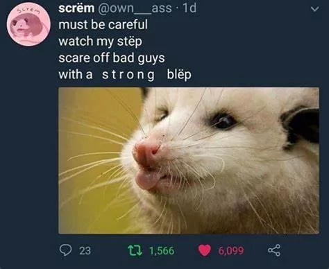 20 Possum Memes That are Possum-ively Hilarious 8 possum memes with a strong
