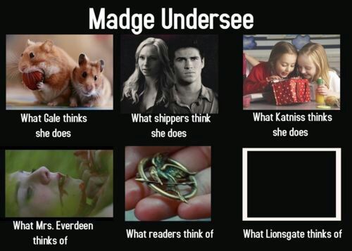20 Hunger Games Memes Bringing Joy to the Arena and Blissful Banters 9 hunger games memes what mrs everdeen