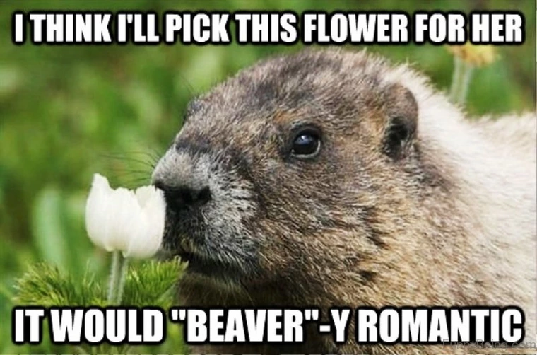 20 Positively Love-Struck Romantic Memes for Endless Grins 10 romantic memes it would