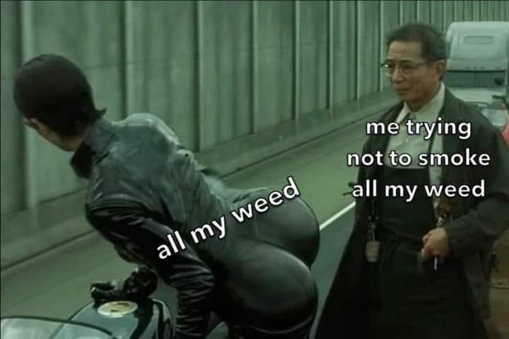 25 Funny "The Struggle Is Real Memes" That'll Make Your Day Struggle Free 26 All my weed - The Struggle Is Real Memes