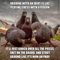 35 Idiot Memes for a PhD in Nonsense - Funny