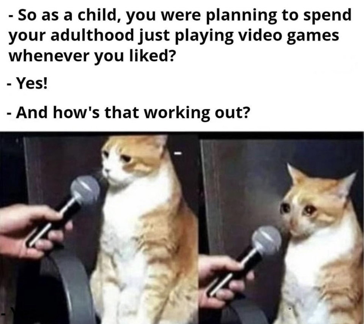 20 Hilarious Memes That Speak Louder Than Words 16 As a child