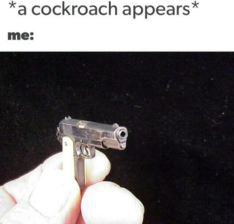 20 Memes for Instant Happiness 16 Cockroach appears