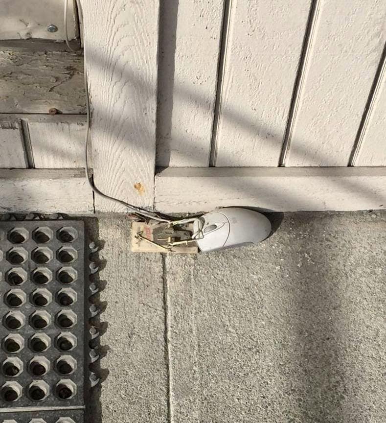 30 Funniest "Things In Places Where It Shouldn't Be" Memes 25 Computer mouse - Things In Places Where It Shouldn't Be