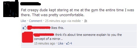 15 Funniest Burns That'll Turn Ice into Water Vapor 4 Concept of mirror - Funniest Burns
