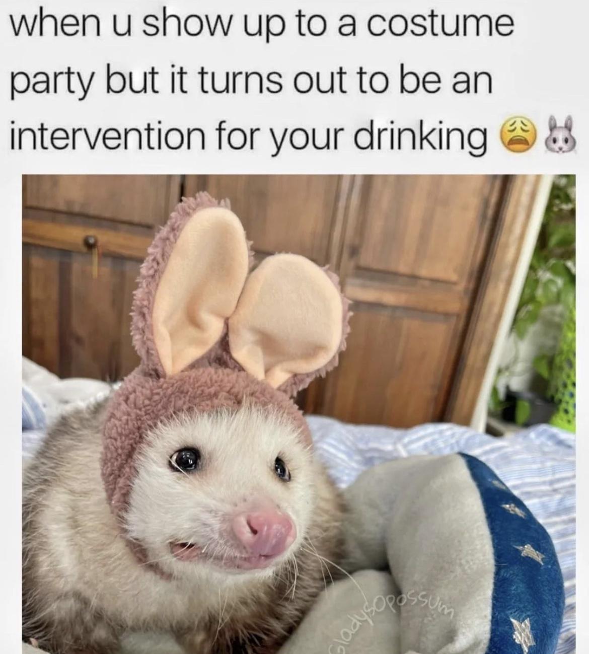 25 Unexpected Memes That Defy All Expectations 2 Costume party - Unexpected Memes