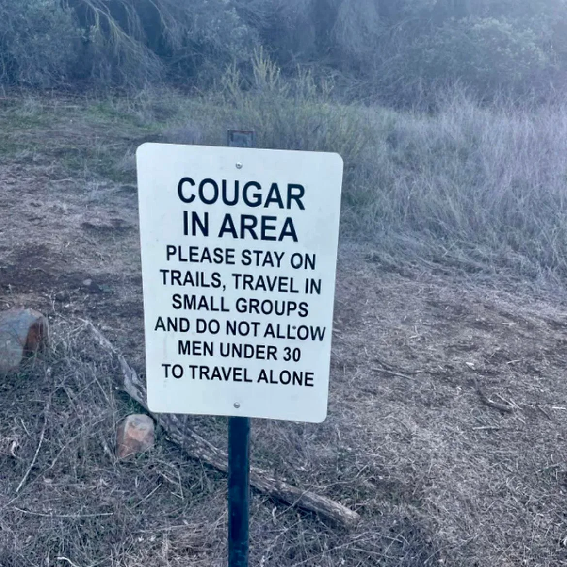 23 Warning Signs That Caught Attention 21 Cougar area