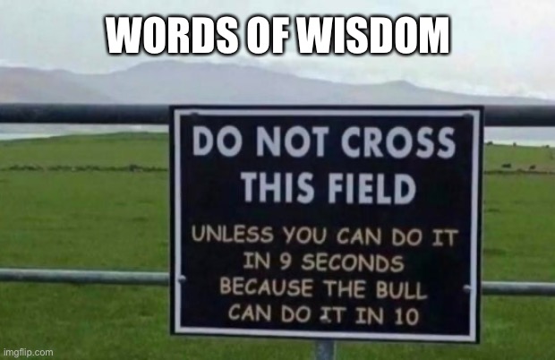 20 Wisdom Memes to Illuminate Your Path to Enlightenment 3 Do not cross this field - Wisdom Memes