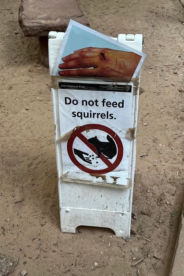 23 Warning Signs That Caught Attention 7 Do not feed squirrels