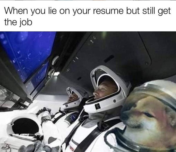 28 "When You Lie On Your Resume But Still Get The Job" Memes 21 Dog in space - When You Lie On Your Resume But Still Get The Job