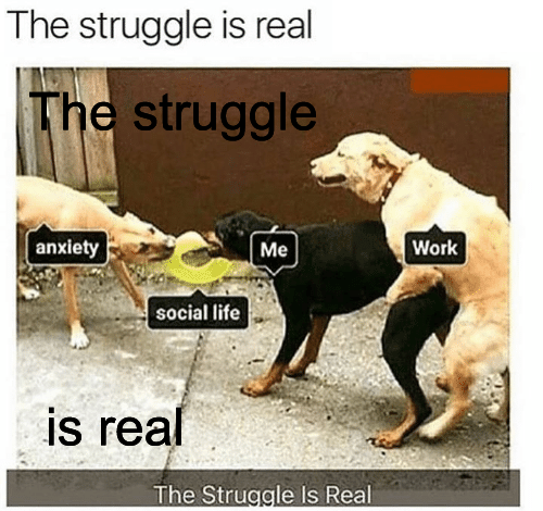 25 Funny "The Struggle Is Real Memes" That'll Make Your Day Struggle Free 24 Dog struggle is real - The Struggle Is Real Memes