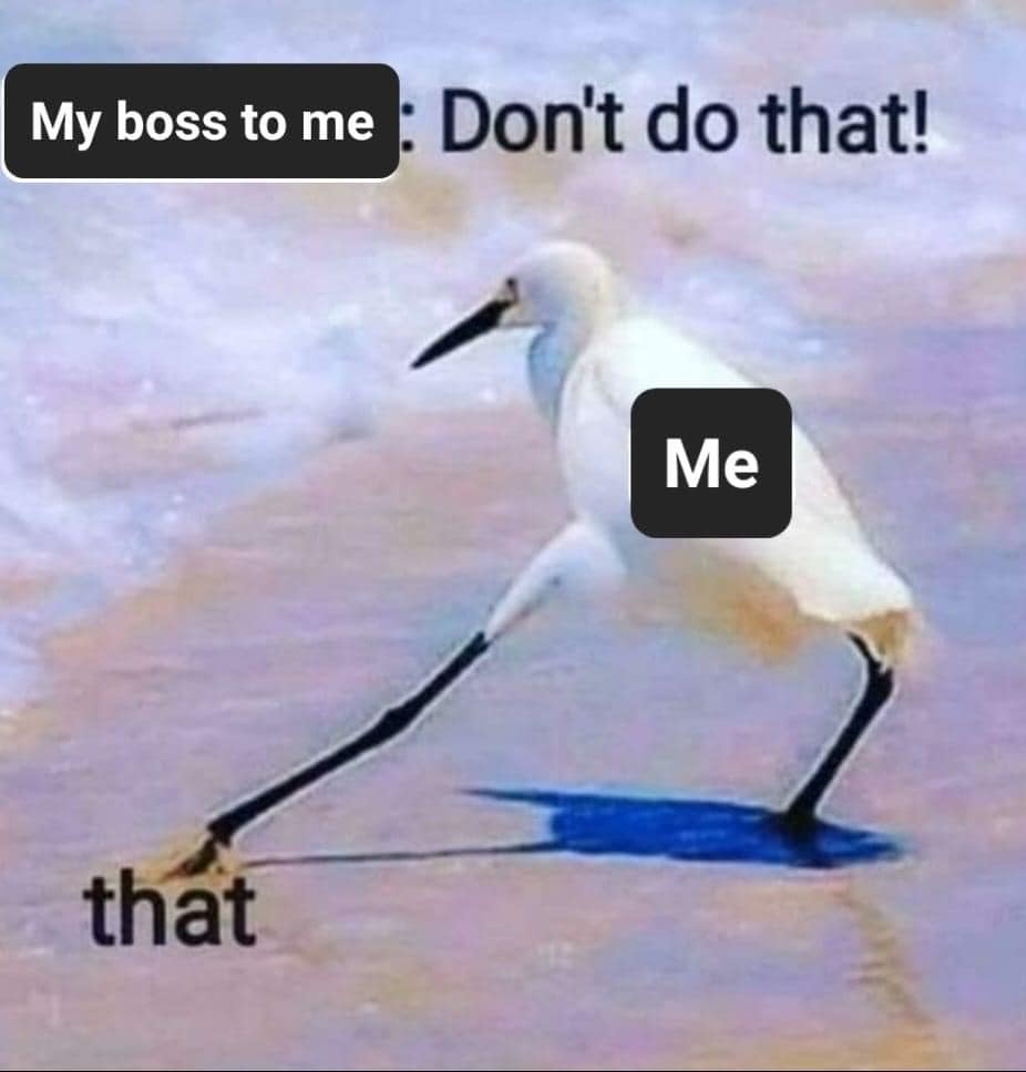 25 Work Related Memes That Will Have You Laughing Through the 9-to-5 Grind 2 Dont do that - Work Related Memes