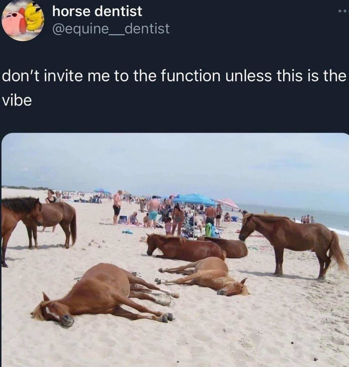 20 Memes That Keep You Guessing 6 Dont invite me to function