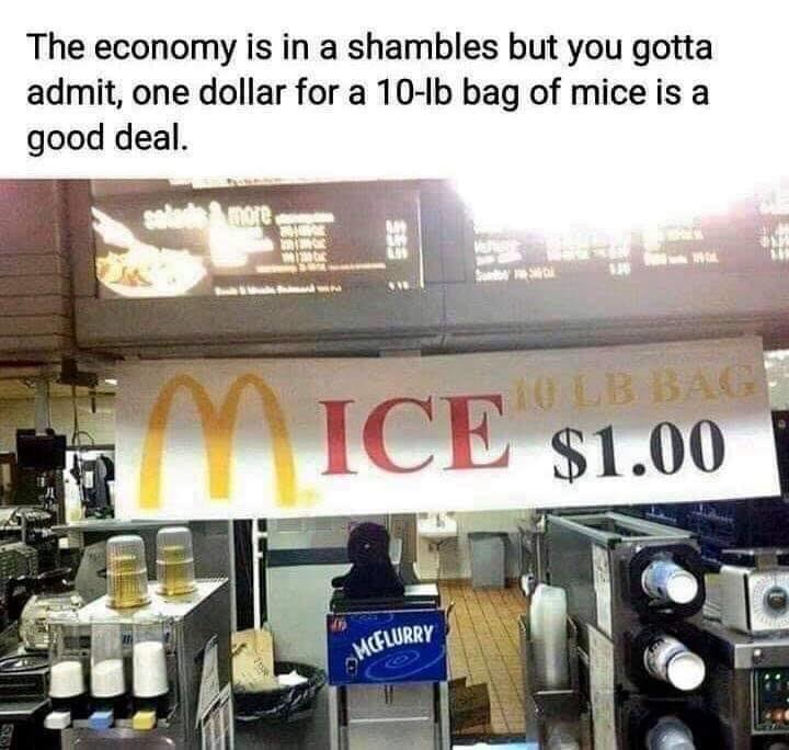 25 Whacko Memes of Spontaneous Humor 4 Economy is in shambles - Whacko Memes