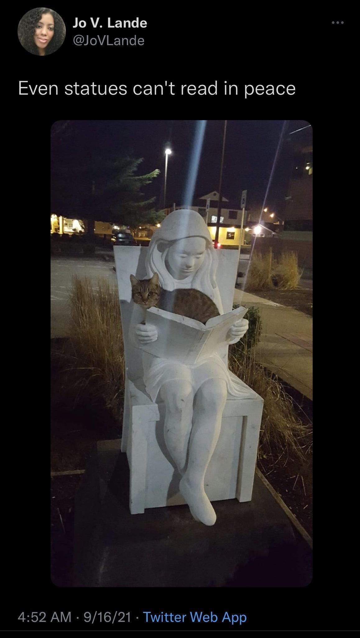 15 Memes for Instant Happiness 5 Even statues cant read